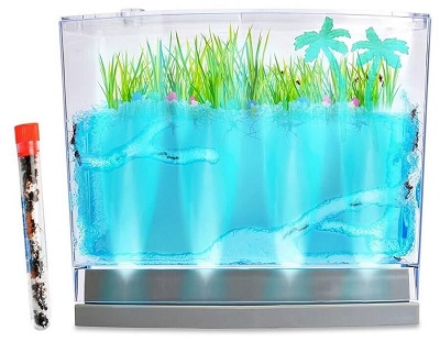 Lighted Ecosystem Ant Habitat With Live Ants