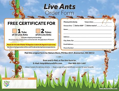 Lighted Gel Ant Habitat with 1 Tube of Ants