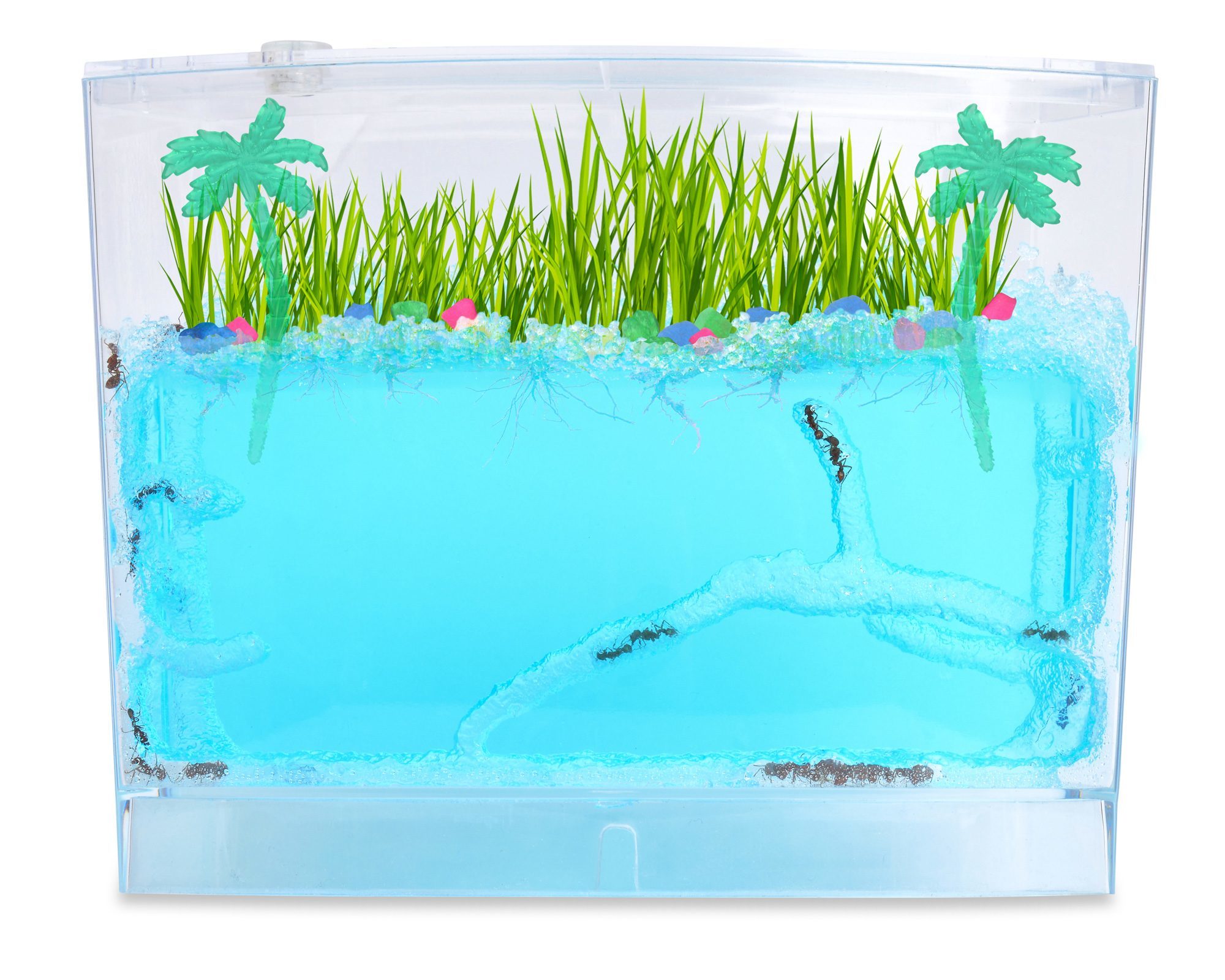 Ecosystem Ant Habitat Kit instructions