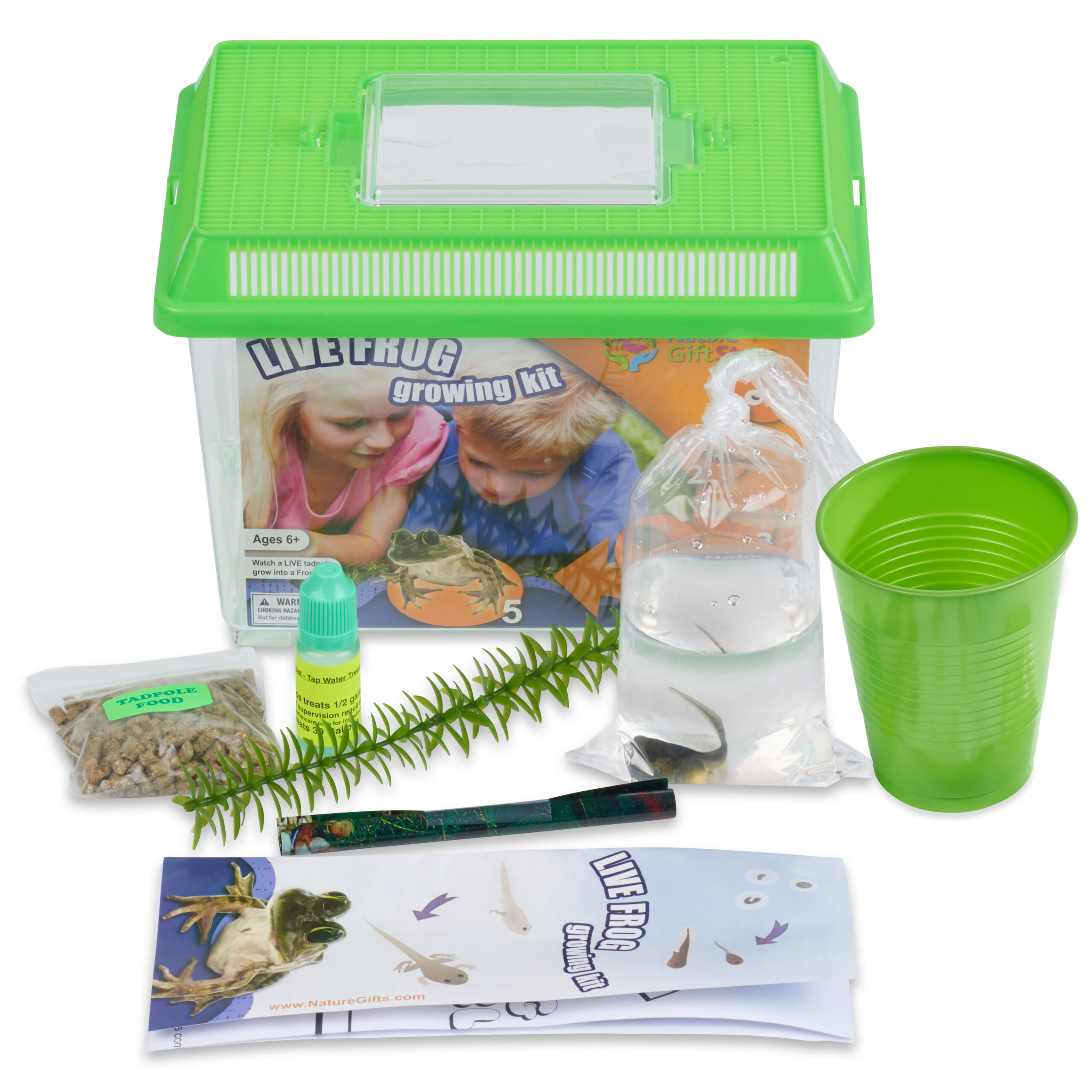 Small Habitat Frog Kit