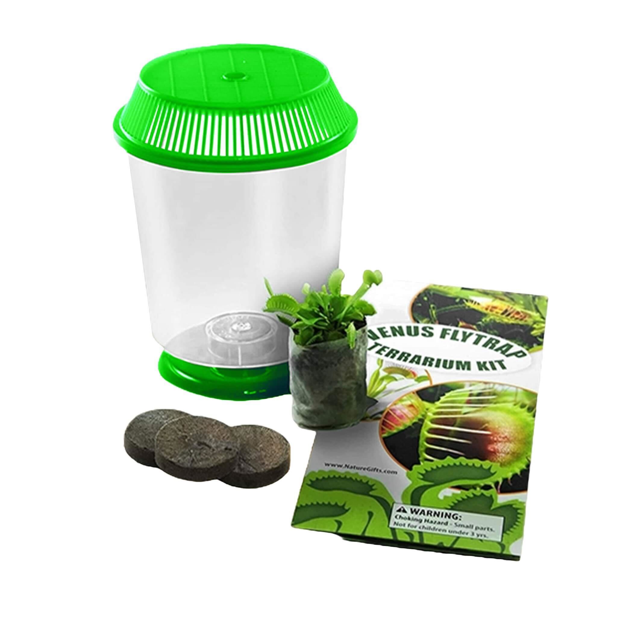 Nature Gift Store Venus Fly Trap + Carnivorous Plant Food Bundle in 4" Terrarium - Live Carnivorous Plants Kit with Green Colored Lids, Dried Fly Larvae, Feeding Tweezers