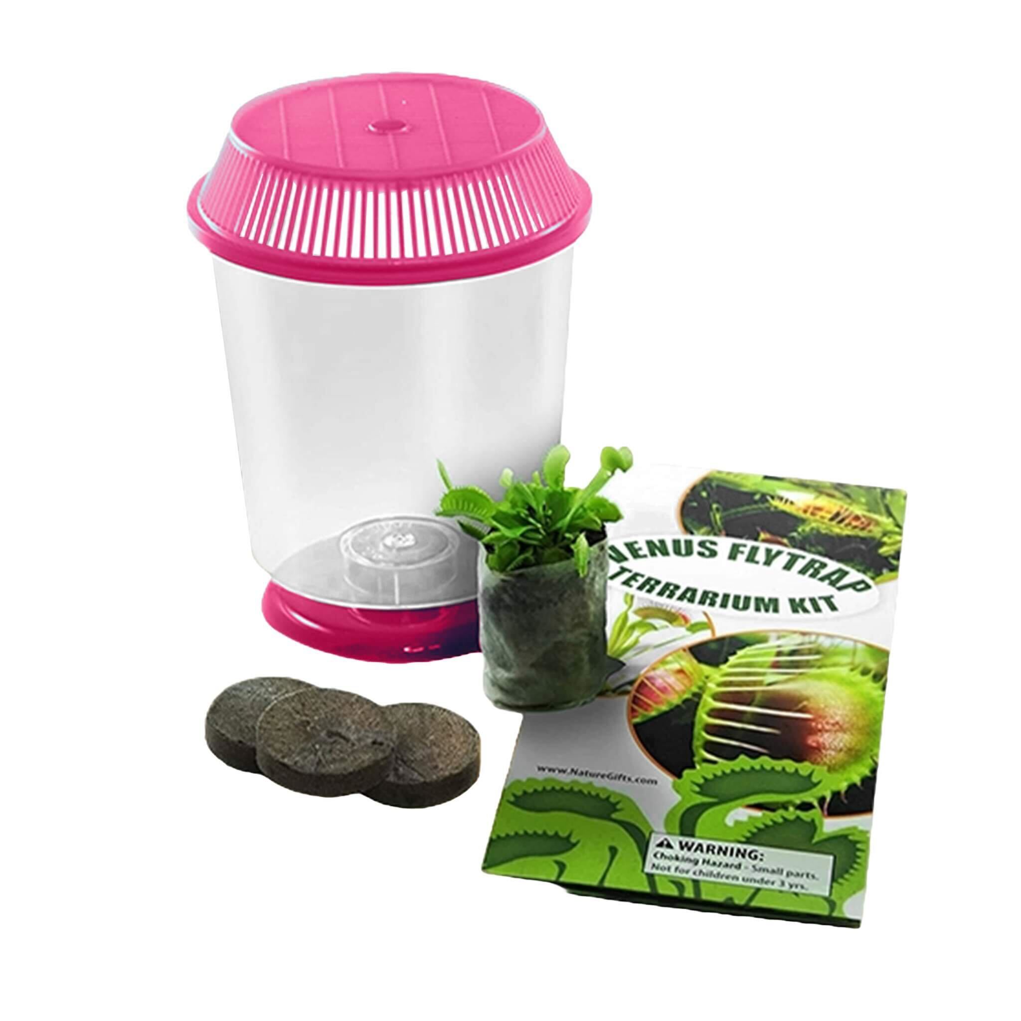 Nature Gift Store Venus Fly Trap + Carnivorous Plant Food Bundle in 4" Terrarium - Live Carnivorous Plants Kit with Pink Colored Lids, Dried Fly Larvae, Feeding Tweezers