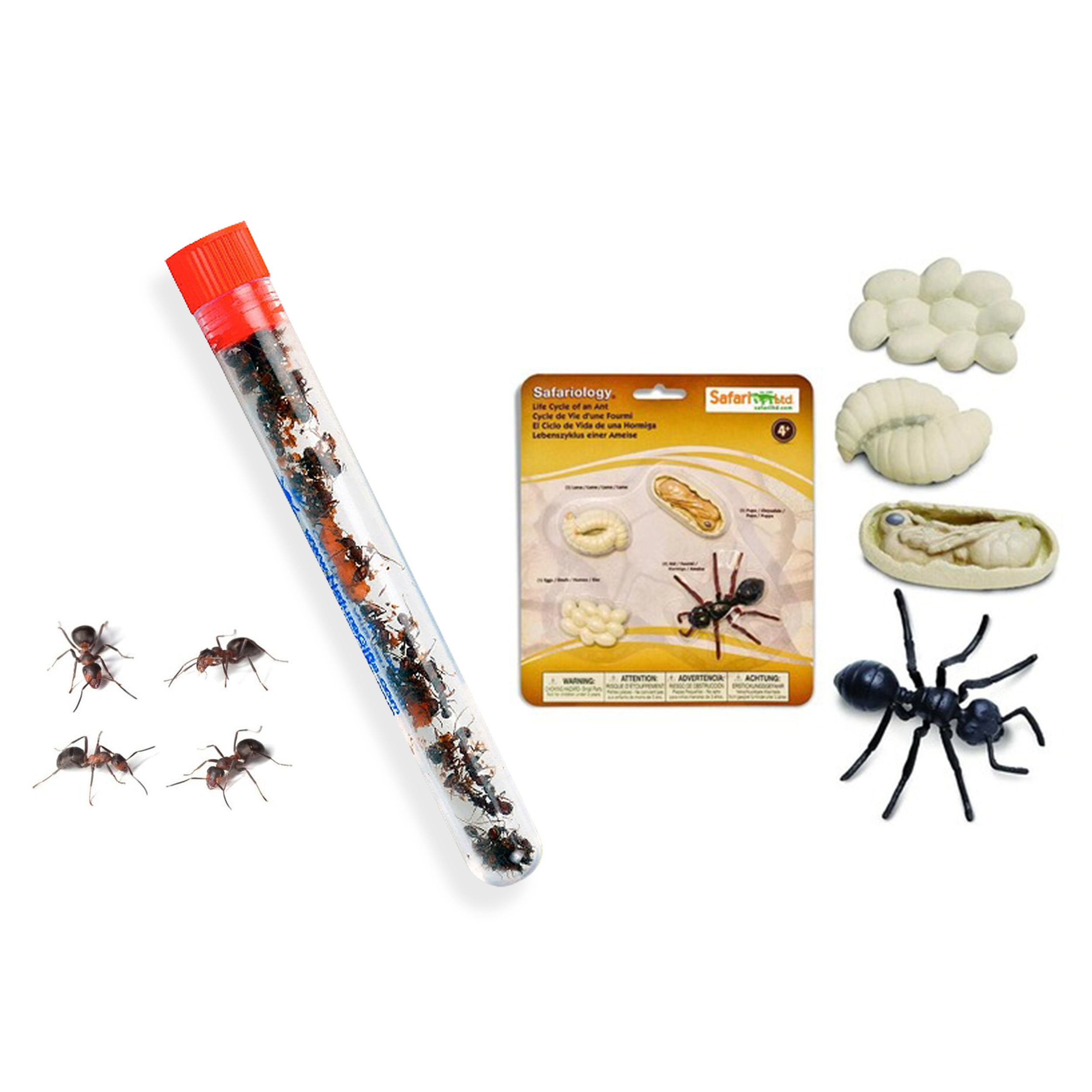 25 Ants+Figurines