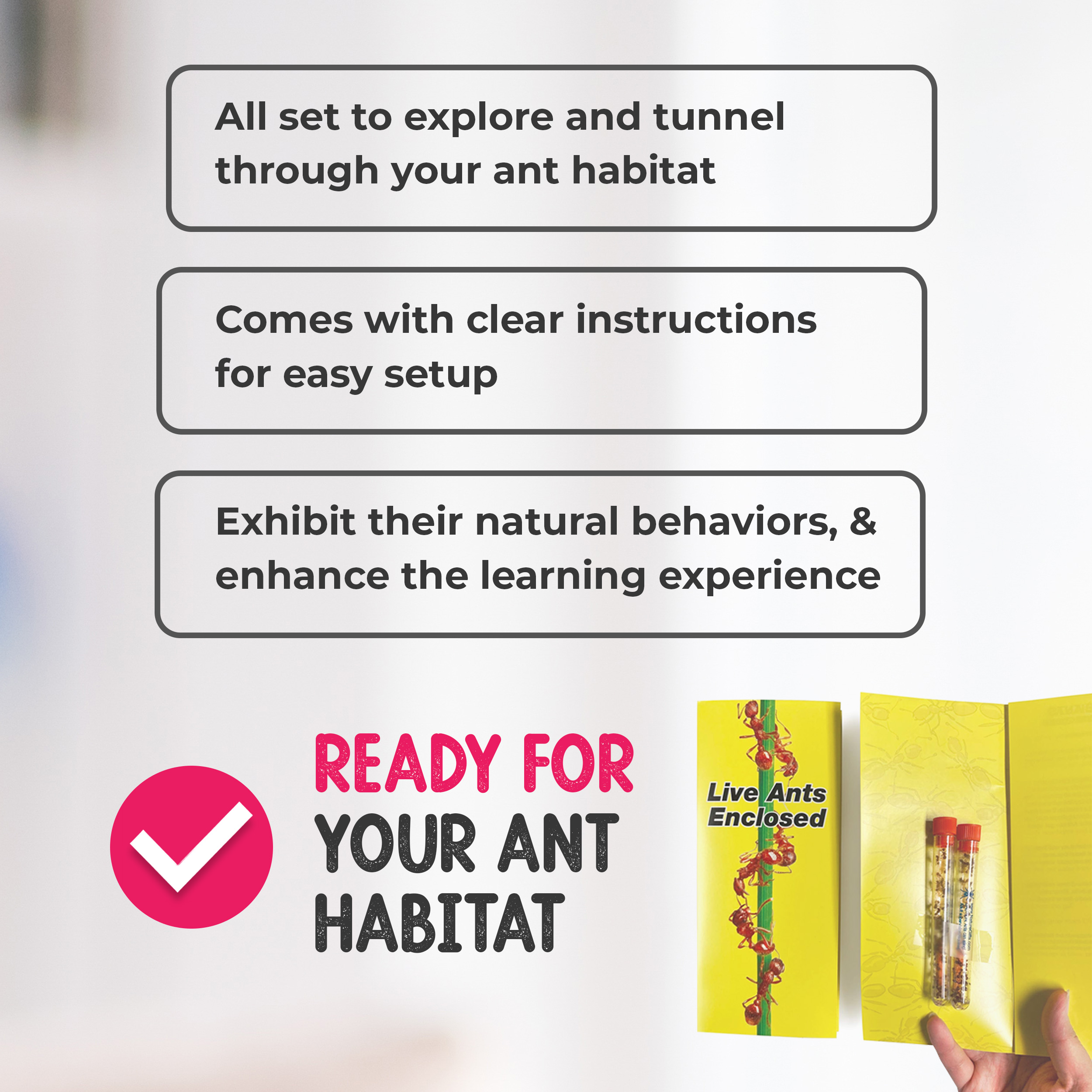 ants_figurines_book